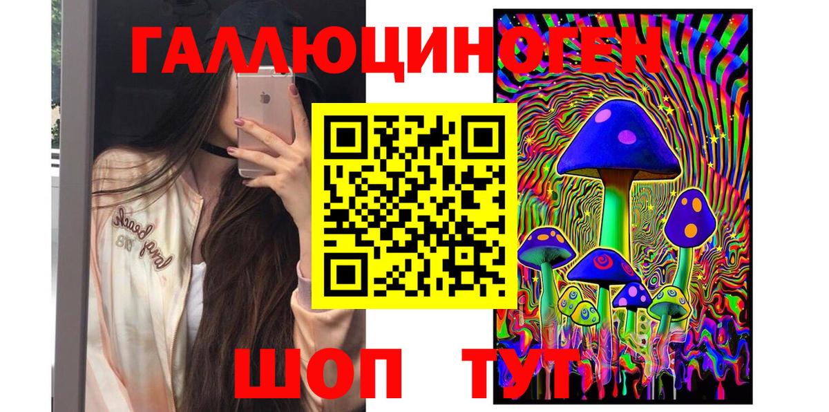 Галлюциногенные грибы Psilocybe  Вход с VPN  купить наркотики цена  Кириши 