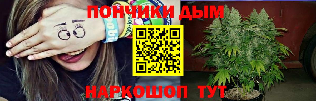 Бошки Шишки план Кириши